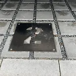 Kleine Muegge *